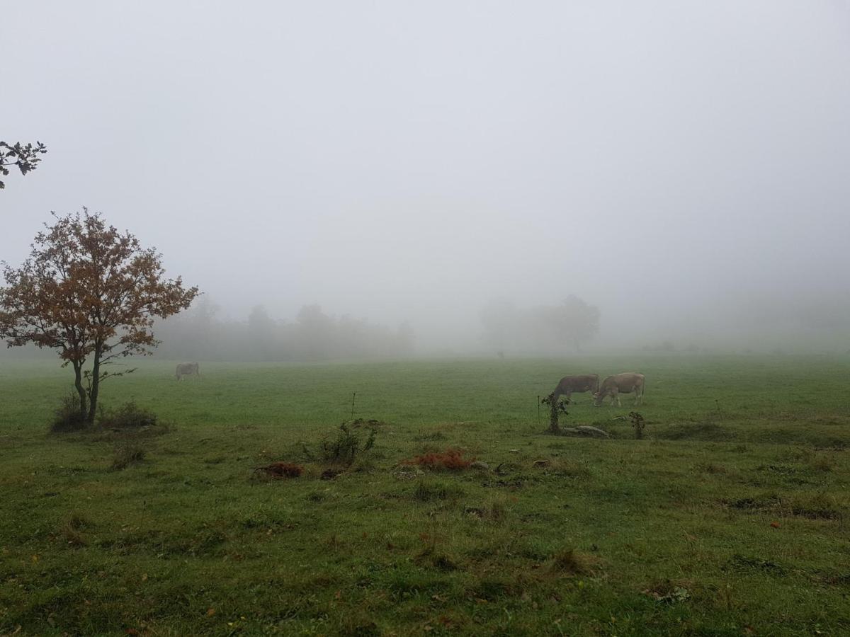 Santuari De La Salut De Sant Felíu de Pallarols Exteriör bild
