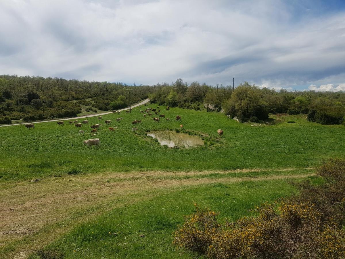 Santuari De La Salut De Sant Felíu de Pallarols Exteriör bild
