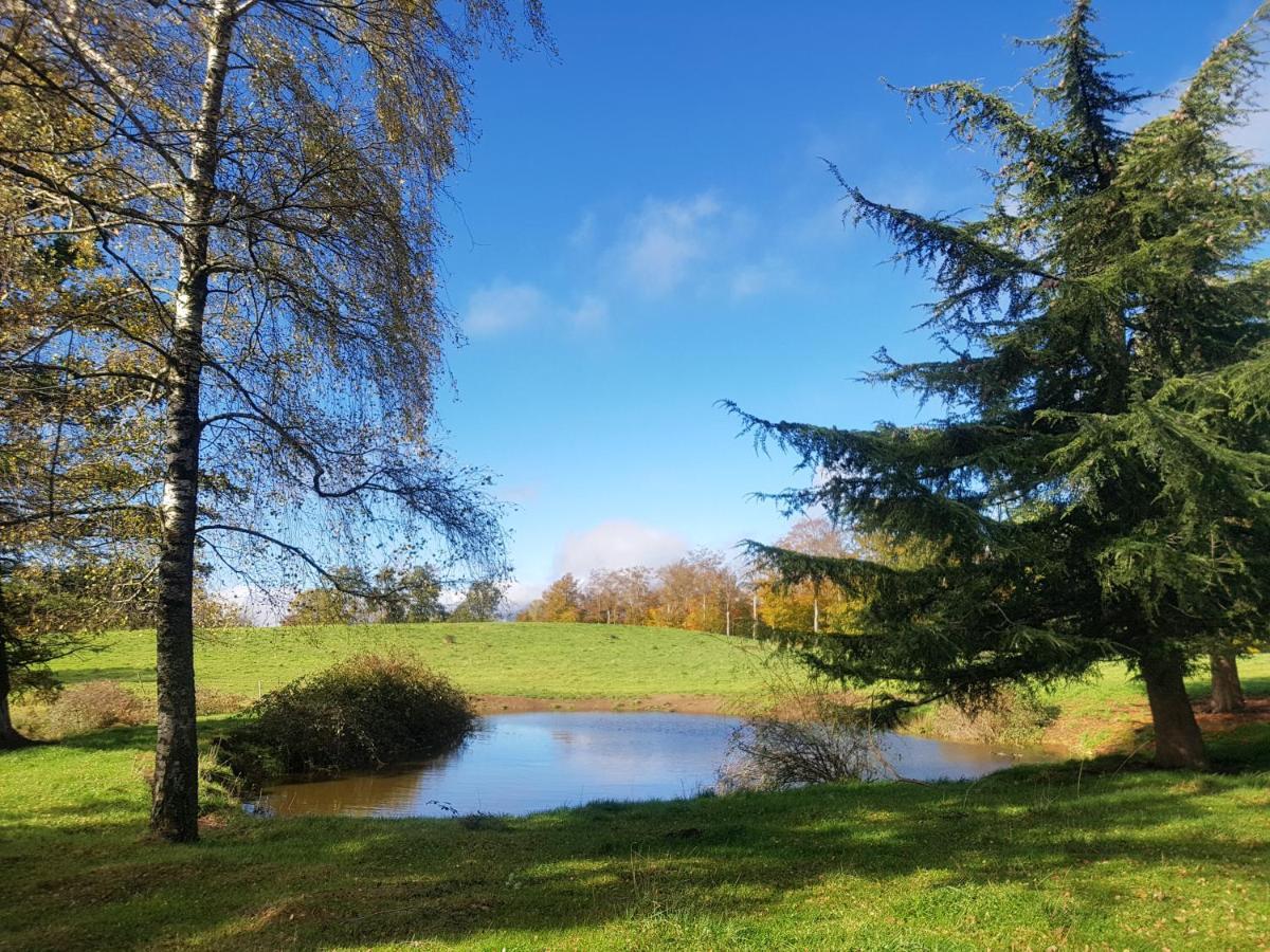 Santuari De La Salut De Sant Felíu de Pallarols Exteriör bild