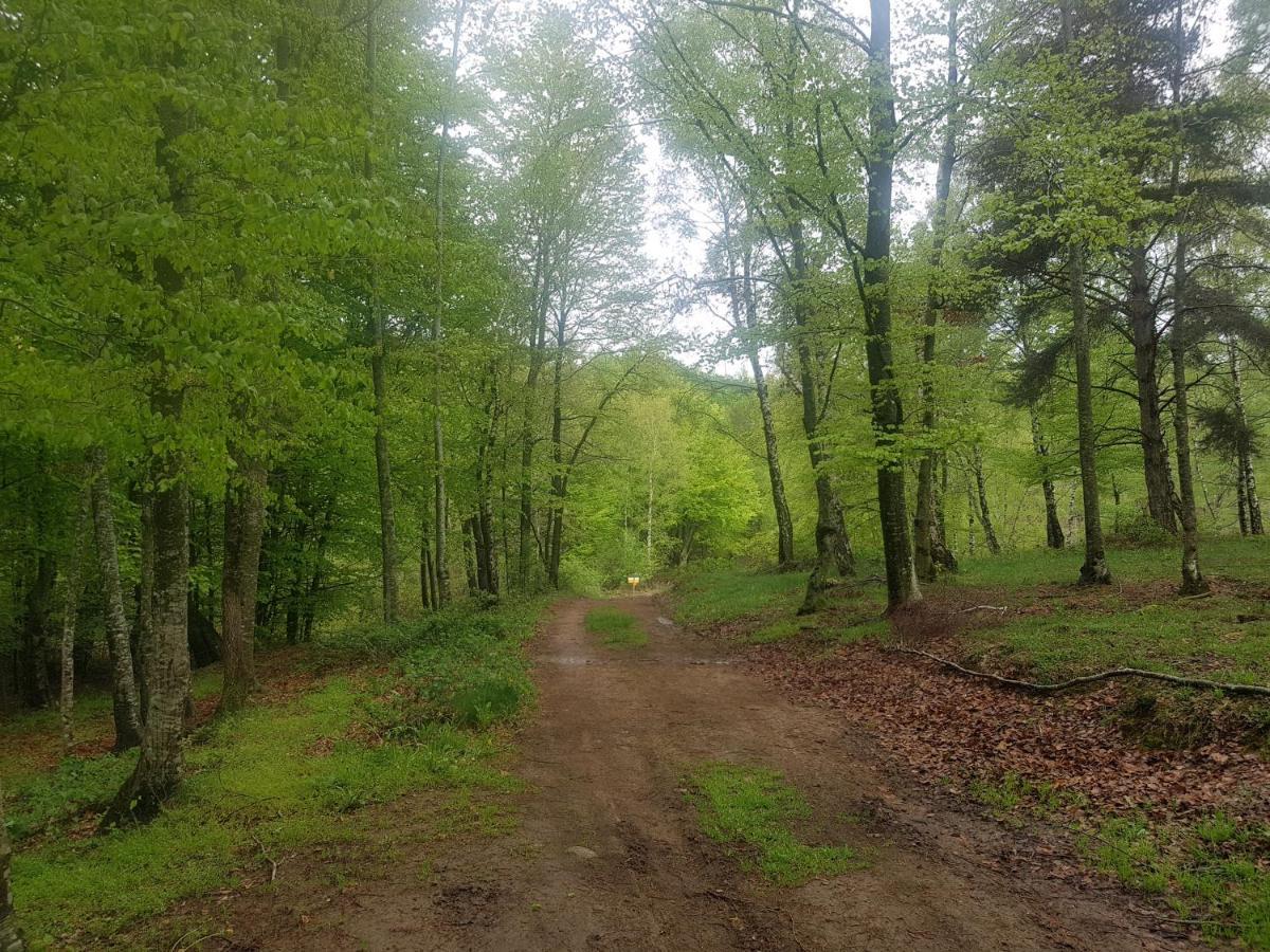 Santuari De La Salut De Sant Felíu de Pallarols Exteriör bild