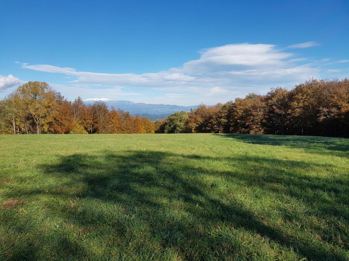 Santuari De La Salut De Sant Felíu de Pallarols Exteriör bild