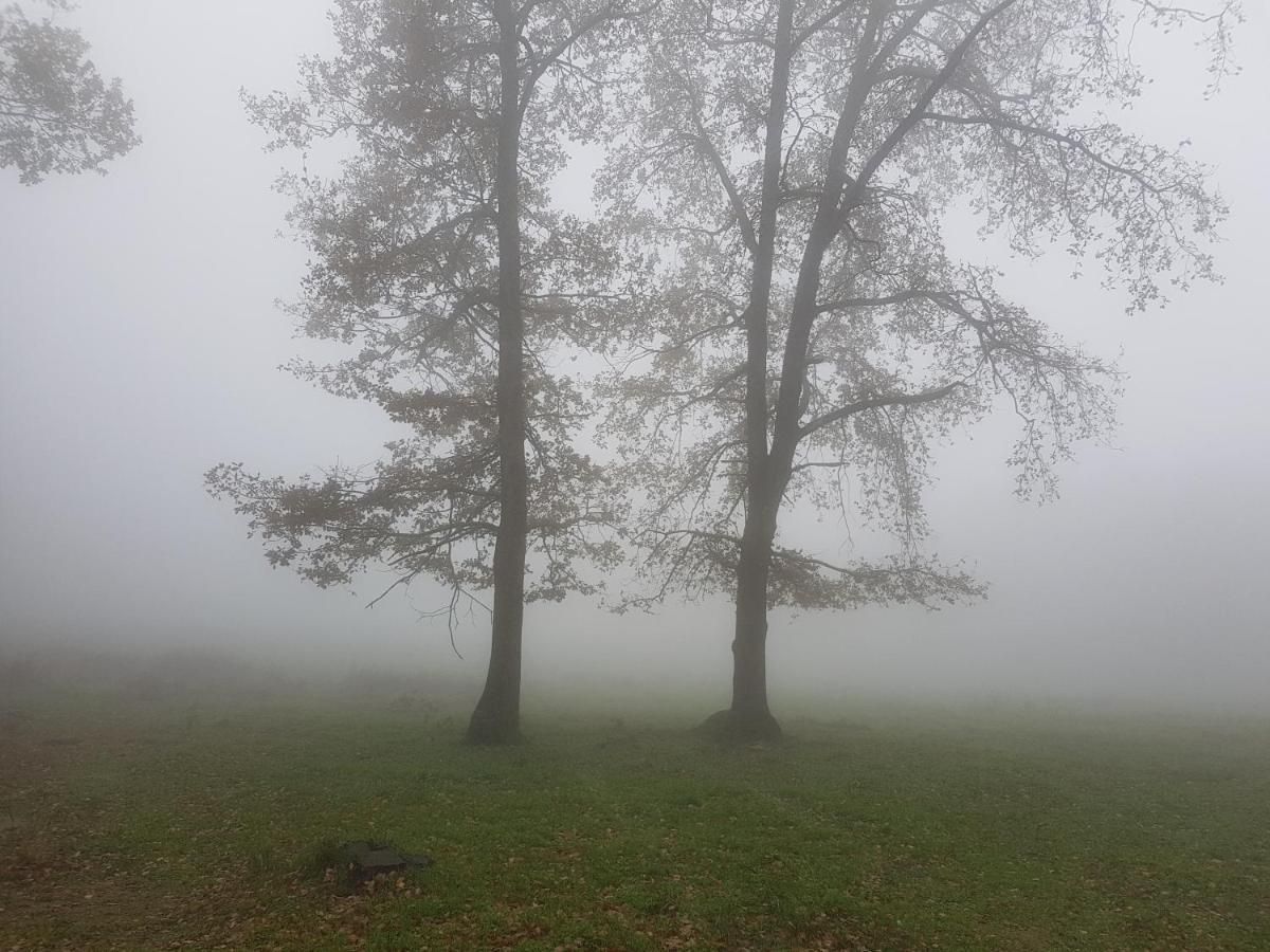 Santuari De La Salut De Sant Felíu de Pallarols Exteriör bild