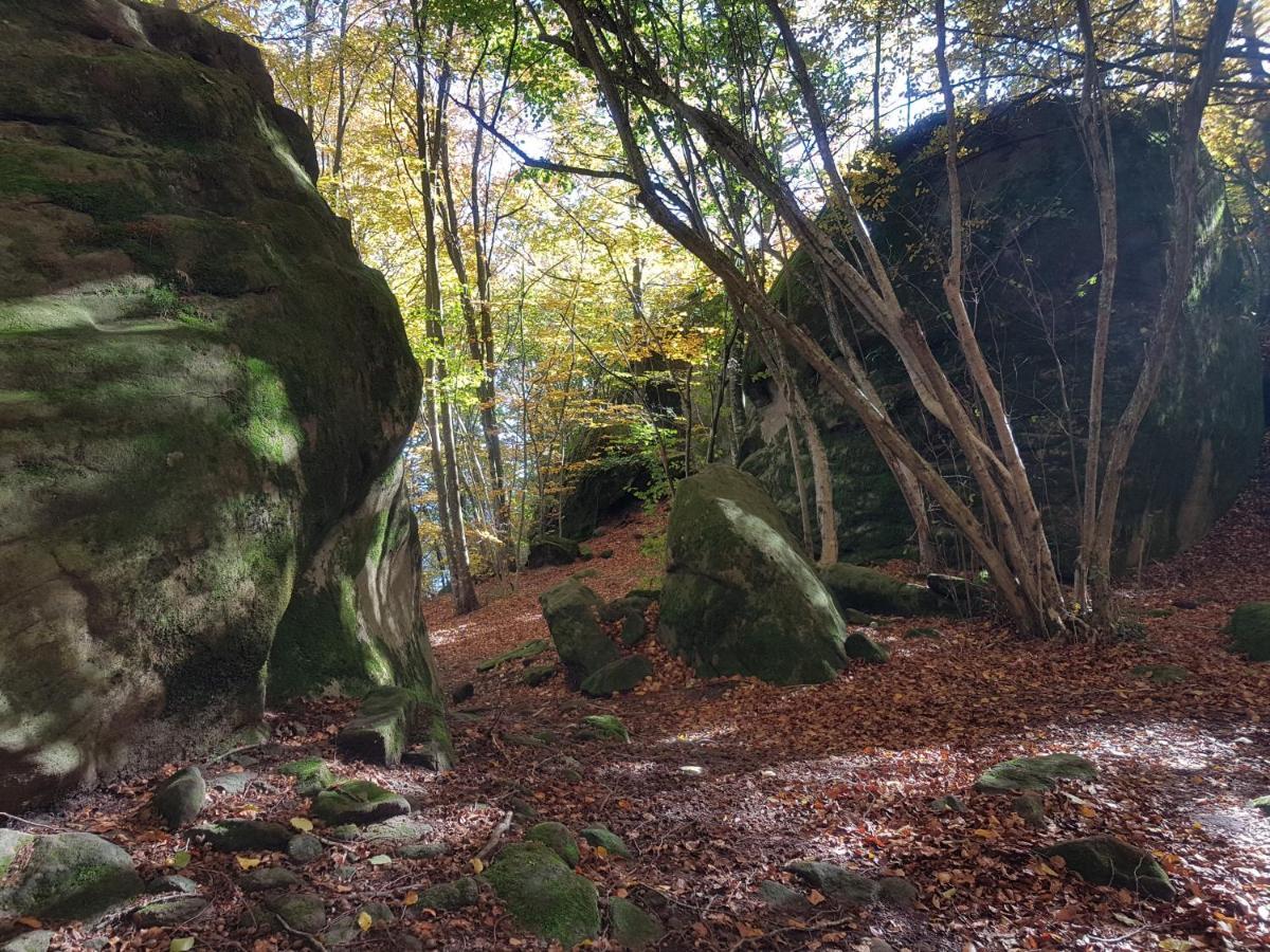 Santuari De La Salut De Sant Felíu de Pallarols Exteriör bild